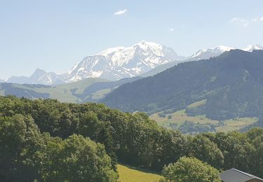 Percorso Marcia Praz-sur-Arly - Praz sur Arly. Epines blanches - Photo