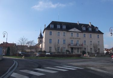 Tocht Te voet Champigneulles - Circuit du Noirval - Photo