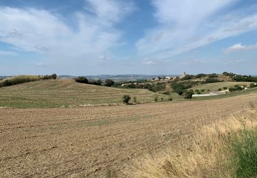 Randonnée Marche Carcassonne - 2023 09 15 CHEMIN du PIÉMONT PYRÉNÉEN - 8ème étapes : CARCASSONNE - LAVALETTE - ALAIRAC - ARZENS - MONTRÉAL - VILLENEUVE- lès-Montréal - LASSERE - FANGEAUX - Photo