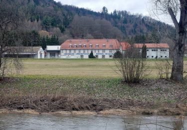 Percorso A piedi Rottenburg am Neckar - Liebfrauenhöhe-Oberndorf - Photo