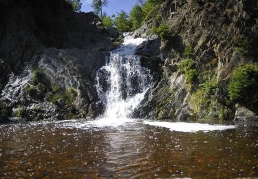 Tocht Mountainbike Malmedy - Cascades et canyons - Photo