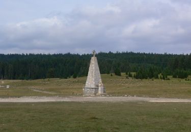 Tocht Stappen Belleydoux - Prairie d’echallon - Photo