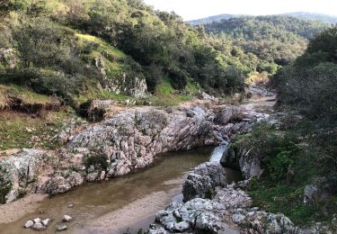 Trail Walking Roquebrune-sur-Argens - Les hauts et bas Pétignons - Photo