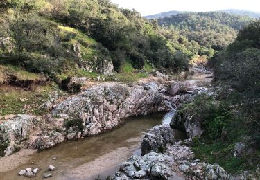 Tour Wandern Roquebrune-sur-Argens - Les hauts et bas Pétignons - Photo