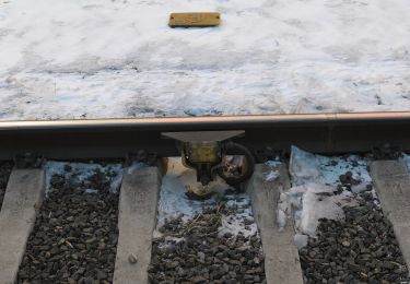 Randonnée A pied Schwarzach im Pongau - Schwarzach-Liechtensteinklamm (Alternative) - Photo