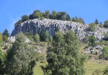 Tour Zu Fuß  - Cabana Gura Râului-sub Măgura Mare-Bran - Photo