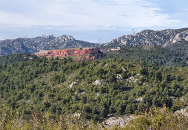 Tour Wandern Allauch - Le mt Julien par le vallon de Figuiere - Photo