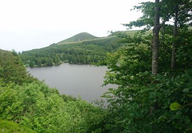 Randonnée Marche Orcival - lac de Guerry - puy gros - banne d'ordanche- retour lac  - Photo