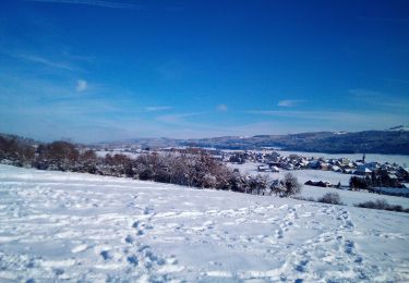 Randonnée Raquettes à neige Arc-sous-Cicon - ARC SOUS CICON 