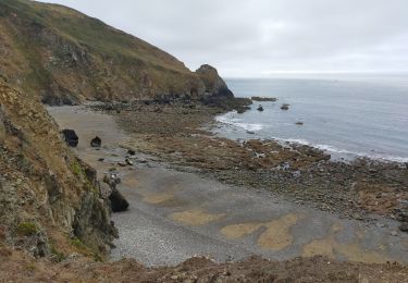 Tour Wandern La Hague - nez de jobourg - Photo