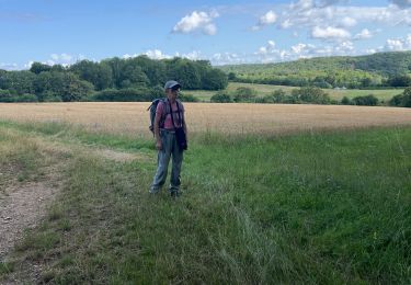 Trail sport Villiers-sur-Suize - 52 Villiers sur Suize Rochevilliers réel 17 juillet 2024 - Photo