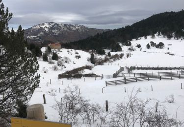 Randonnée Raquettes à neige Mosset - Au départ des « cinq sens » - Photo