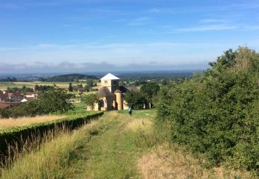 Tocht Stappen Saint-Amour - Étape 1 Saint Amour - Saint Julien sur Saran - Photo