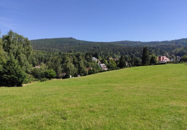 Tour Wandern Hohwald - Le Hohwald (bis) - Photo