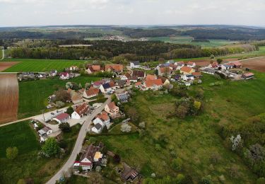 Percorso A piedi Haundorf - Fränkisches Seenland 113 - Photo