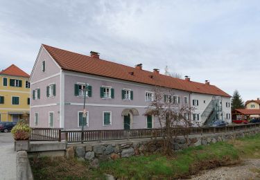 Randonnée A pied Ehrenhausen an der Weinstraße - Welschlauf Südsteiermark - Photo