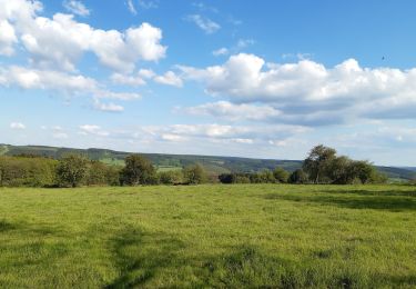Trail Walking Stoumont - cour . borgoumont . moulin du ruy . andrimont . cour - Photo