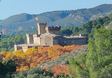 Randonnée Marche La Barben - PF - La Barben - Boucle Château de la Barben - FV - Photo