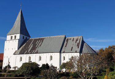 Tour Zu Fuß  - Sporet ved Lintrup - Photo