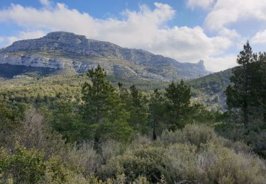 Randonnée Marche Marseille - Les Monts de Luminy  - Photo