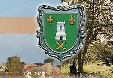 Trail Walking Montcel - Montcel_Pierre_Branlante - Photo