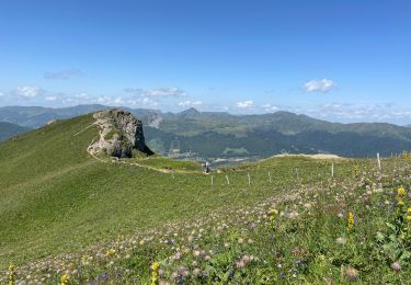 Percorso Marcia Thiézac - Monts du Cantal 5 - Thiézac à Prat de Bouc - Photo