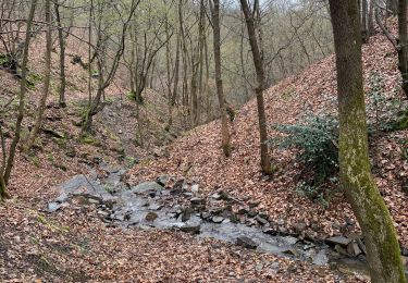 Excursión Senderismo Chaudfontaine - Chaufontaine fran - Photo