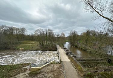 Tocht Stappen Diest - Diest 30,1 km - Photo