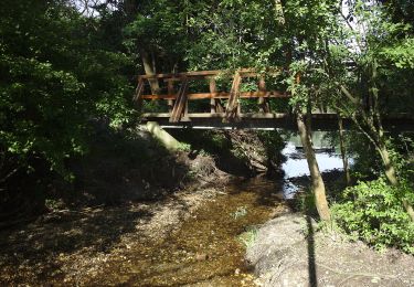 Excursión A pie Desconocido - Bibergehege-Rundweg (Forsthaus-Rundweg) - Photo