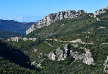 Excursión Senderismo Gémenos - Gémenos - Tourne de St Pons - Ancienne Glacière - Col de l'Ange - Photo