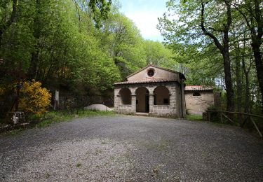 Percorso A piedi Abbadia San Salvatore - Anello dell'Amiata - Photo