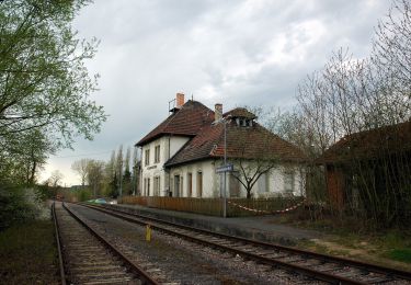 Excursión A pie Waibstadt - Rundwanderweg Waibstadt 6: Geren-Weg - Photo