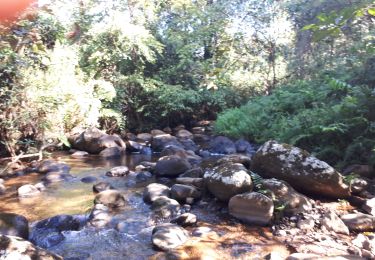 Tour Wandern  - Tad Yuang - Photo