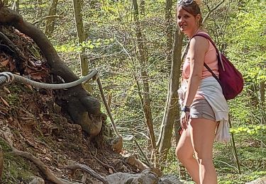 Randonnée Marche Aywaille - en remontant l'Amblève et en redescendant le Ninglinspo - Photo