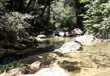 Trail Walking Callas - gorge de Penafore - Photo