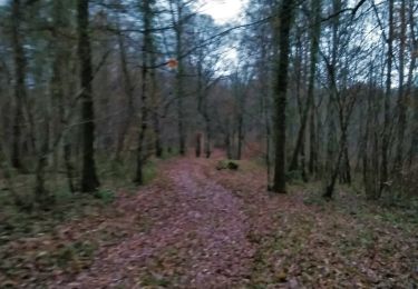 Randonnée V.T.T. Virton - Bois du Bonlieu - Balade_VTT_24kms - Photo