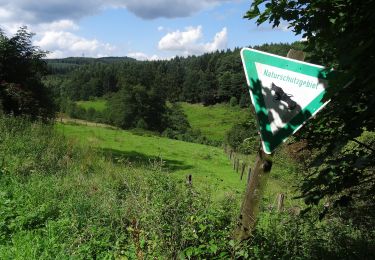 Tocht Te voet Meschede - Buchplette Rundweg A6 - Photo