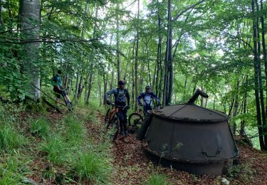 Tour Mountainbike Innimond - D’innimond a Rossillon - Photo