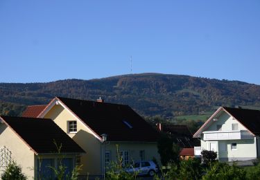 Excursión A pie Bischofsheim i.d.Rhön - Bischofsheim Rundweg 2 (Unterweißenbrunn) - Zur Lourdesgrotte - Photo