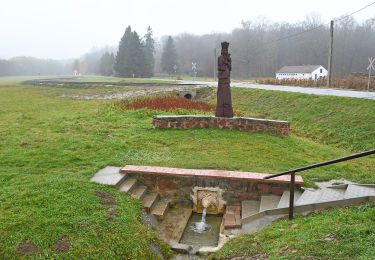 Excursión A pie Bázakerettye - K+ (Bázakerettye - Budafapuszta - Kistolmács ) - Photo