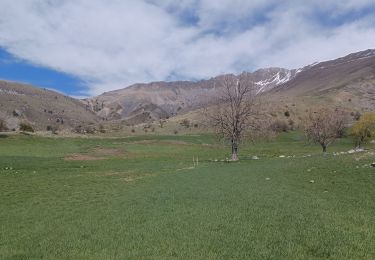 Tocht Stappen Authon - AUTHON . COL DE LA SAPIE .CRETE DU CLOT DES MARTHES . CABAN DE CHINE N - Photo