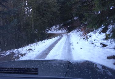 Excursión 4x4 Saint-Étienne-lès-Remiremont - 30-01-22 route forestière  4x4 - Photo