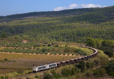 Tocht Te voet Marçà - Marçà-Capçanes-Marcà. Dos mon en un de sol - Photo