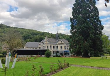 Trail Walking Chaudfontaine - chaudfontaine gare . fort . basilique chevremont . château des thermes . gare  - Photo