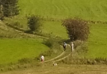 Percorso Marcia Chimay - Baileux Adeps 3/9/23 - Photo