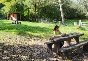 Trail Walking Brétigny-sur-Orge - Tour de Montlhery - 20km  - Photo