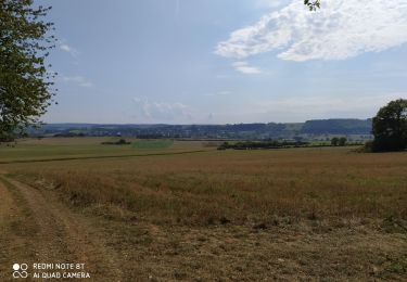 Tour Wandern Tellin - repérage zero carbone 16092020 - Photo