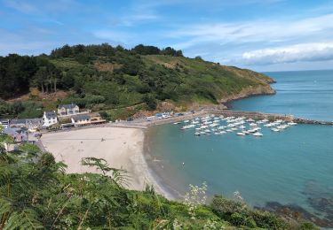 Tour Wandern Plouézec - Plouézec Port Lazo - GR34 Plage Bonaparte - 25km 560m 6h05 (50mn) - 2024 07 01 - Photo