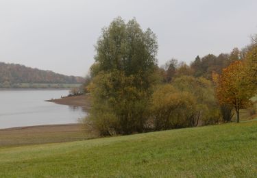 Percorso A piedi Schotten - Rundwanderweg Einartshausen E1 - Photo