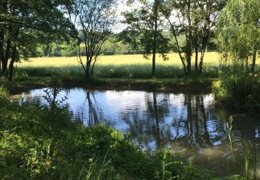 Tocht Stappen Cavagnac - Cavagnac nature - Photo